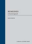 Remedies: A Practical Approach by David Charles Hricik